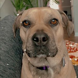 Meet your Posher, Britni